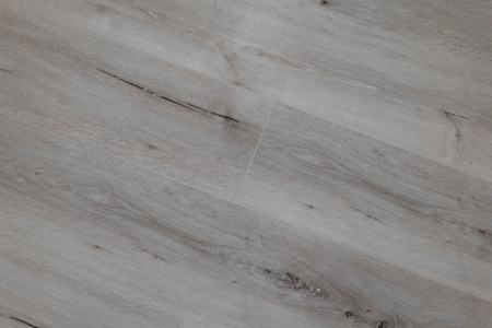 SPC винил Steinholz Линцский замок (Linz Castle) STH006